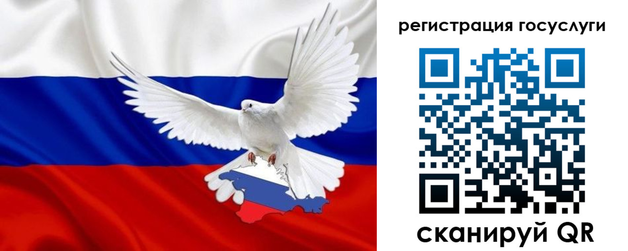 прописка законно в Бронницах